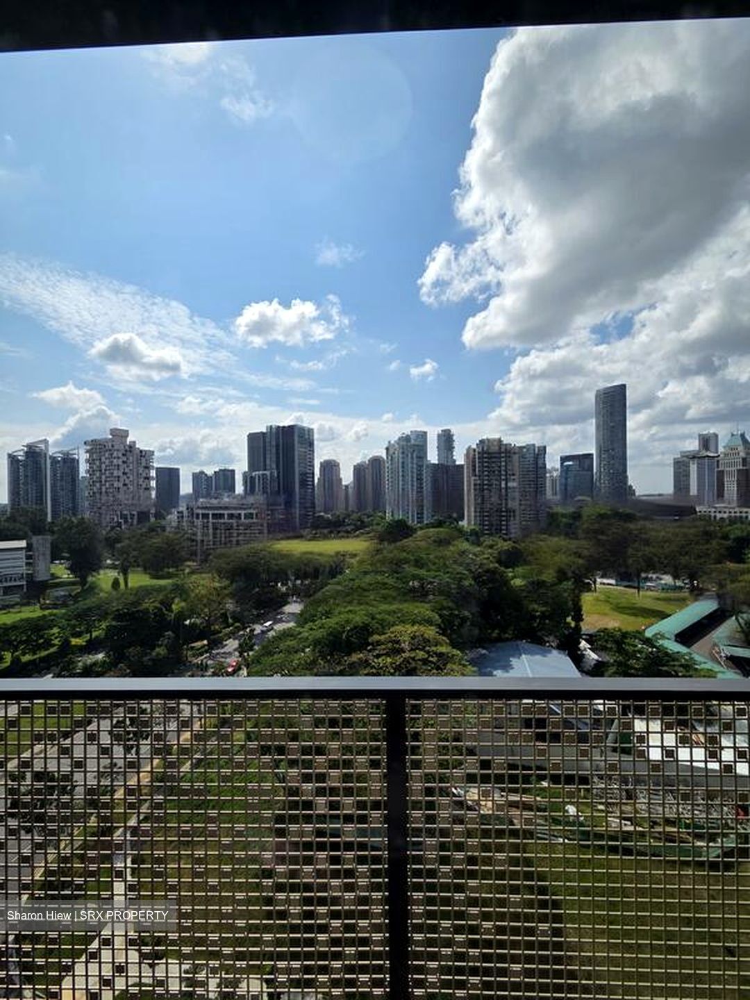 Irwell Hill Residences (D9), Apartment #454051861